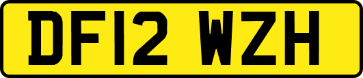 DF12WZH