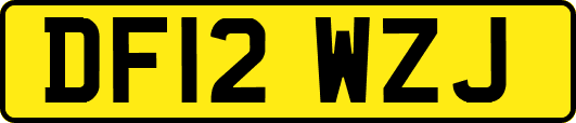 DF12WZJ