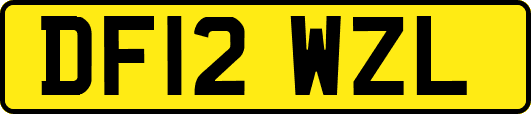 DF12WZL