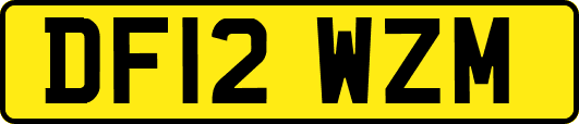 DF12WZM