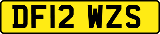 DF12WZS