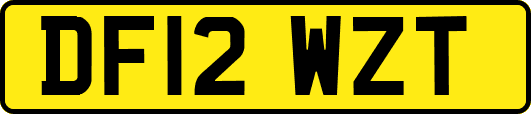 DF12WZT
