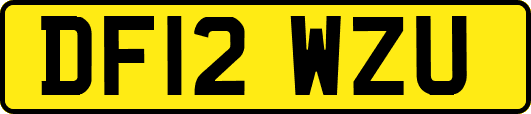 DF12WZU