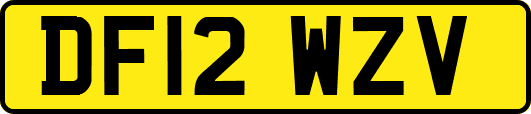 DF12WZV