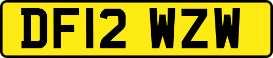 DF12WZW