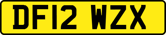 DF12WZX