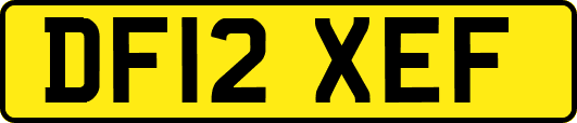 DF12XEF