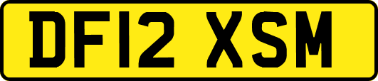 DF12XSM