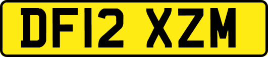 DF12XZM