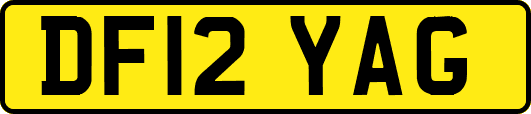 DF12YAG