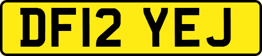 DF12YEJ