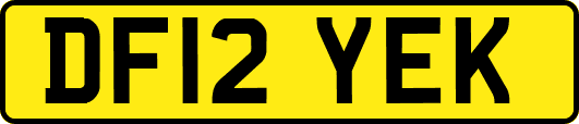 DF12YEK