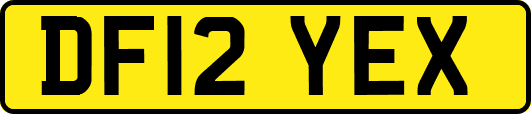 DF12YEX