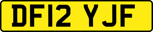 DF12YJF