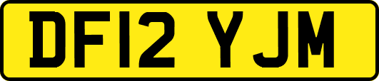 DF12YJM