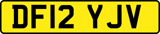 DF12YJV