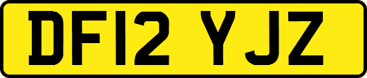 DF12YJZ