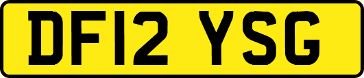 DF12YSG