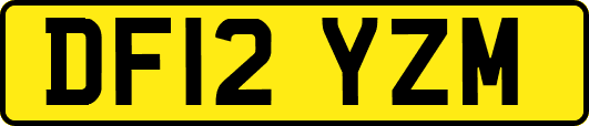 DF12YZM