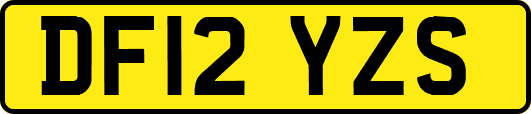 DF12YZS