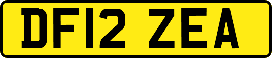 DF12ZEA