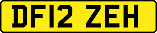 DF12ZEH