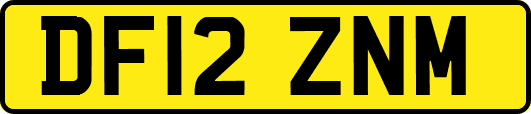 DF12ZNM
