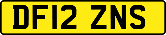 DF12ZNS