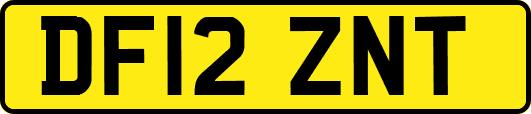 DF12ZNT