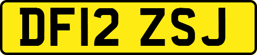DF12ZSJ
