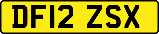 DF12ZSX