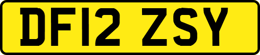 DF12ZSY