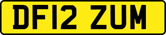DF12ZUM