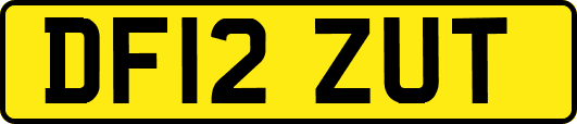 DF12ZUT