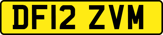 DF12ZVM