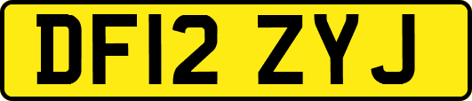 DF12ZYJ