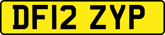 DF12ZYP