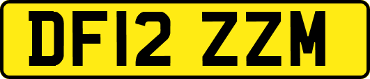 DF12ZZM