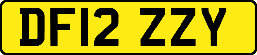 DF12ZZY