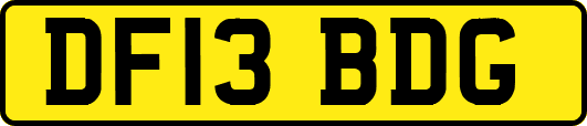 DF13BDG