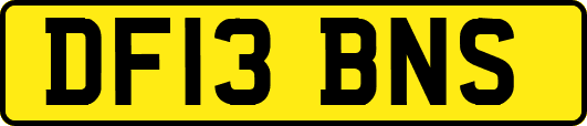 DF13BNS