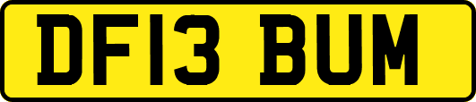 DF13BUM