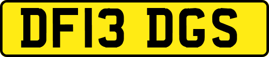 DF13DGS