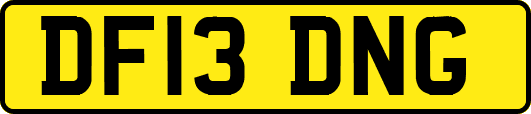 DF13DNG