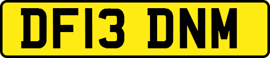 DF13DNM