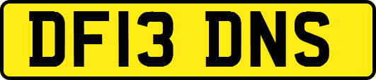 DF13DNS