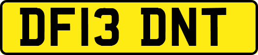 DF13DNT