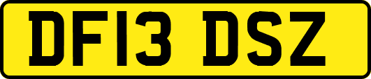 DF13DSZ