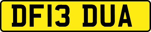 DF13DUA