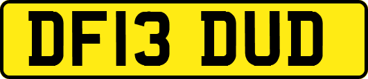 DF13DUD